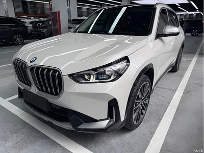 2024 BMW X1 xDrive25Li X Design Package, фото 1, лот 10466234