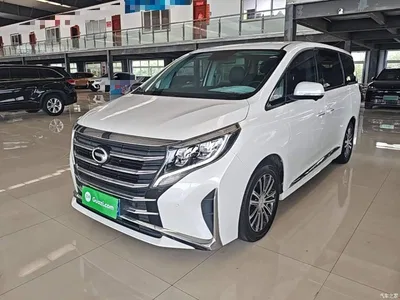 2021 GAC Trumpchi Trumpchi M8 Leading Show Series 390T Prestige Edition, фото 1, лот 10421612