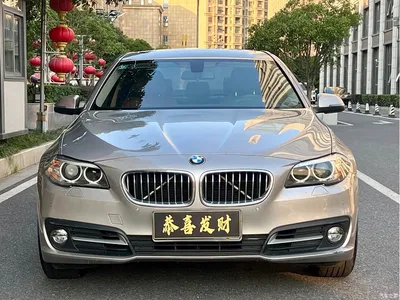 2014 BMW 5 Series 520Li Elegance, фото 4, лот 11585068