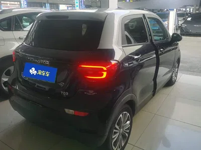 2021 Leapmotor T03 400 Luxury Edition, фото 3, лот 10444514