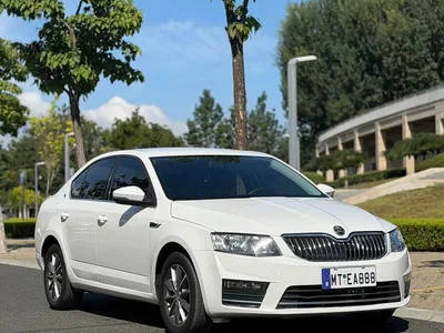 2017 Škoda Octavia 1.6L Automatic Pioneer Edition, фото 3, лот 10348940