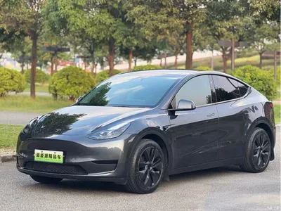 2024 Tesla Model Y Rear-Wheel Drive Version, фото 1, лот 10887004