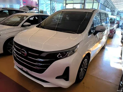 2019 GAC Trumpchi Trumpchi M6 270T DCT Premium Edition (6-seater) (China VI), фото 1, лот 11195936