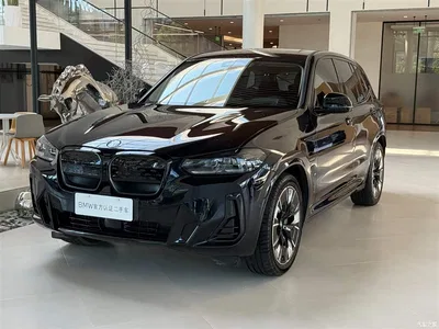 2023 BMW iX3 Pioneer Type, фото 1, лот 10414572