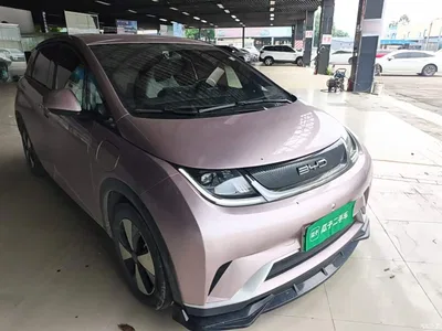 2024 BYD Dolphin Glory Edition 420km Freedom Edition, фото 4, лот 11017876