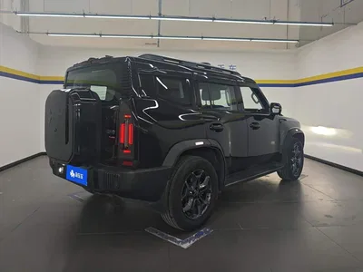 2023 Jetour Traveler Model 2.0T 4WD Cross PRO, фото 3, лот 10417188