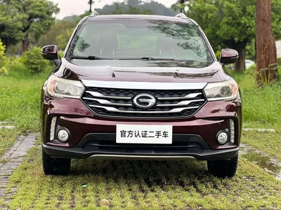 2017 GAC Trumpchi Trumpchi GS4 235T G-DCT 2WD Elite, фото 2, лот 10415462