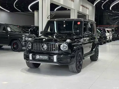2019 Mercedes-Benz G-Class Facelift G 500, фото 1, лот 10295947