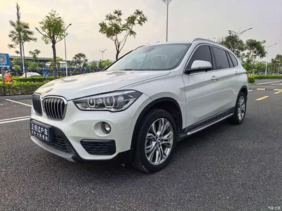 2018 BMW X1 sDrive20Li Leading Model, фото 1, лот 10409550
