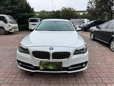 2014 BMW 5 Series 520Li Elegance, фото 3, лот 10478709