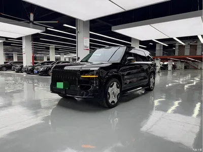 2025 ZEEKR 9X Model Standard, фото 1, лот 10428347