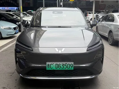 2024 Wuling Motors Wuling Xingguang S 510km Flagship Model, фото 2, лот 10836472