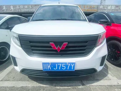 2019 Wuling Motors Wuling Hongguang PLUS 1.5T Manual Wealth 2-seater, фото 1, лот 10367844