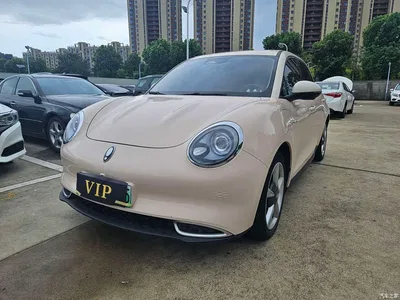 2021 Ora Good Cat 400km Standard Range Muse Edition (LFP), фото 1, лот 10331458