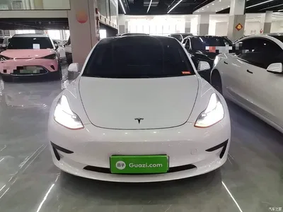 2020 Tesla Model 3 Standard Range Rear-Wheel Drive Upgrade, фото 3, лот 10612267