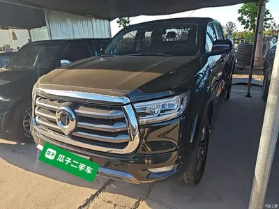 2021 Great Wall Pao 2.0T Passenger Global Edition Automatic Gasoline 2WD Comfort Standard Box GW4C20B, фото 2, лот 10334948