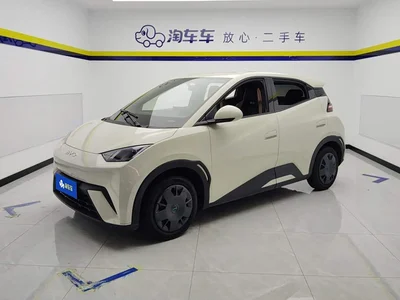 2024 BYD Seagull Glory Edition 305km Vitality Edition, фото 1, лот 10797849