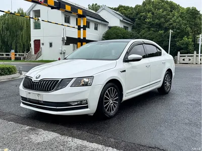 2019 Škoda Octavia TSI230 DSG Smart Luxury Edition China V, фото 3, лот 10349267