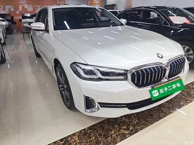 2023 BMW 5 Series 530Li Leading Luxury Package, фото 4, лот 11193520