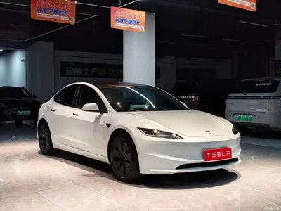 2025 Tesla Model 3 Model Rear-Wheel Drive Edition, фото 3, лот 10356994
