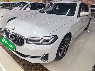 2023 BMW 5 Series 530Li Leading Luxury Package, фото 1, лот 11193520