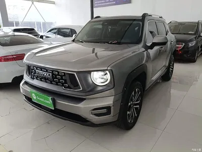 2023 Haval Da Gou 2nd Gen 2.0T 2WD Trendy Off-road Edition Plus, фото 2, лот 10285452