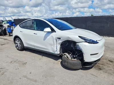 2023 TESLA MODEL Y, фото 4, лот 10855776