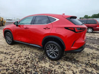 2024 LEXUS NX 250 PREMIUM, фото 2, лот 10849718