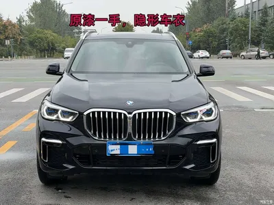 2022 BMW X5 Facelift xDrive 30Li Premium M Sport Package, фото 2, лот 11203616