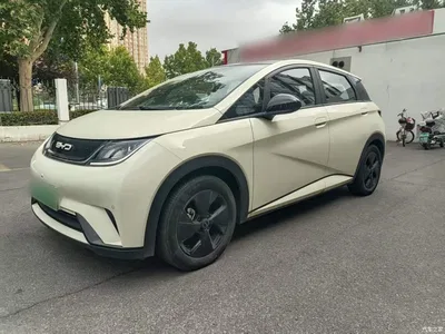 2023 BYD Dolphin 500,000 Commemorative Edition Pro, фото 2, лот 11243458