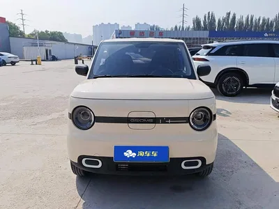 2025 Geely Galaxy Panda mini 210km Vitality Bear, фото 2, лот 11103722