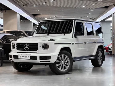 2020 Mercedes-Benz G-Class G 350, фото 1, лот 10242141