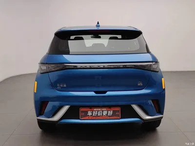 2021 BYD Dolphin Model 405km Fashion Edition, фото 4, лот 10511830
