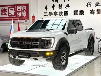 2024 Ford F-150 Raptor 3.5T Raptor, фото 1, лот 11214593