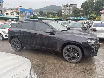 2017 WEY VV7 2.0T Flagship, фото 3, лот 11088016