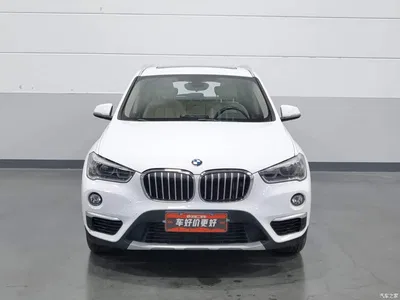 2016 BMW X1 sDrive20Li Luxury Model, фото 3, лот 10455636