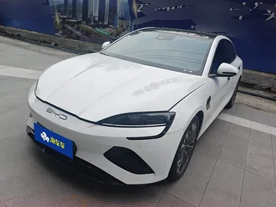 2022 BYD Seal 550km Standard Range RWD Premium, фото 1, лот 10889904