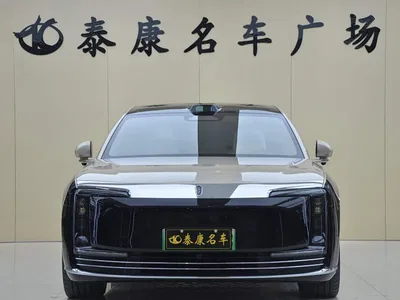 2025 Zunjie S800 Range Extender Starlight Executive 4-Seater, фото 2, лот 11565958