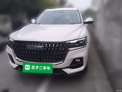 2023 Haval H6 National Trend Edition 1.5T Automatic Champion, фото 3, лот 11017330