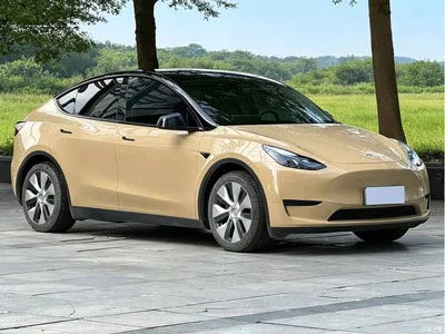 2023 Tesla Model Y Rear-Wheel Drive Edition, фото 3, лот 10804182