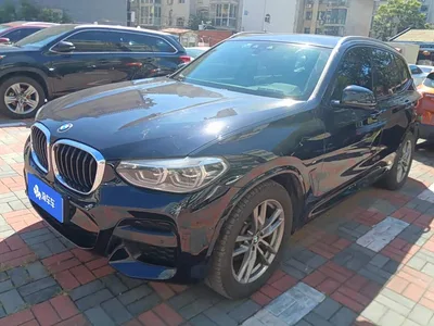 2019 BMW X3 xDrive25i M Sport Package, фото 1, лот 11228762