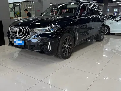 2022 BMW X5 Facelift xDrive 30Li Premium M Sport Package, фото 1, лот 10395561
