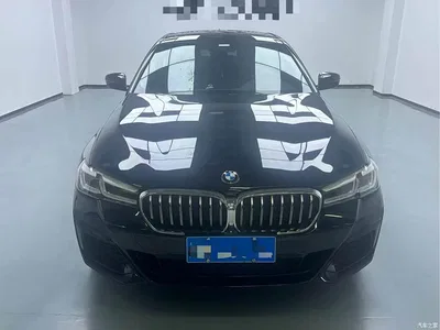 2023 BMW 5 Series Facelift 530Li Leading M Sport Package, фото 2, лот 11074369