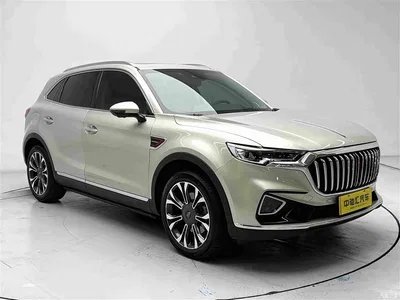2019 Hongqi HS5 2.0T Smart Connect Enjoy 4WD Edition, фото 3, лот 11240911