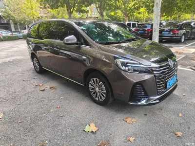 2023 Buick GL8 Model Land Business Class Comfort, фото 1, лот 11196887