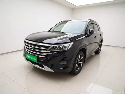 2019 GAC Trumpchi Trumpchi GS5 270T Automatic Luxury, фото 2, лот 10316783