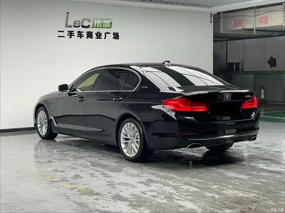 2019 BMW 5 Series New Energy 530Le Pioneer Edition, фото 4, лот 10584959