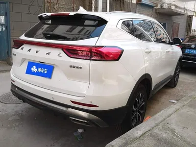 2021 Haval H6 National Trend Edition 1.5T Automatic Urban Edition, фото 3, лот 10299078