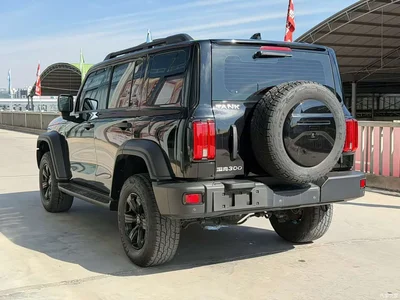 2023 Tank 300 Off-Road Edition 2.0T Conqueror, фото 4, лот 10344497
