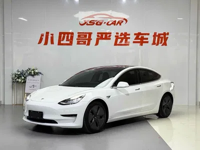 2019 Tesla Model 3 Standard Range Rear-Wheel Drive Upgrade, фото 1, лот 10355296